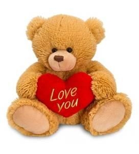Love You Teddy